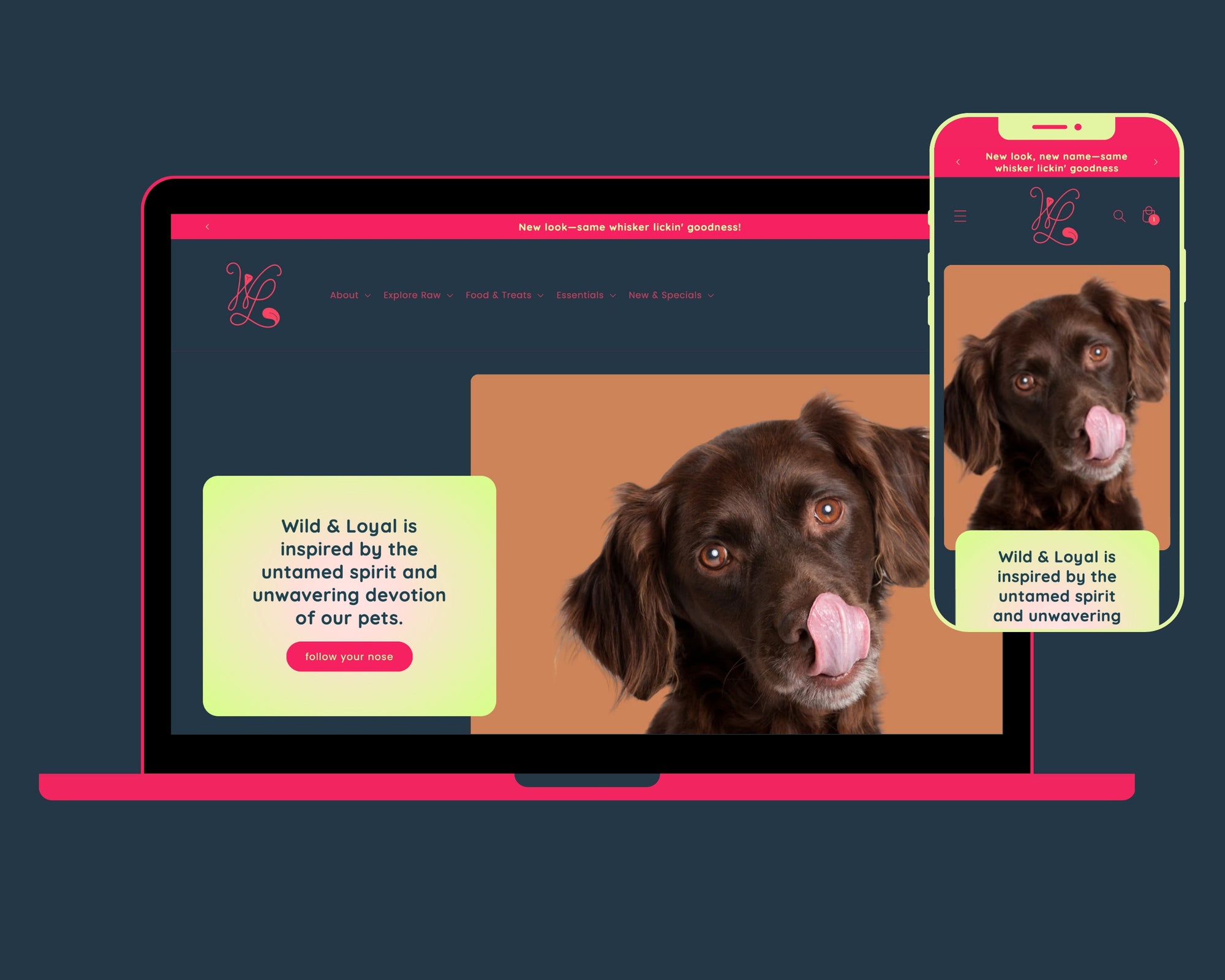 Triple Threat: Branding + Website + Photography